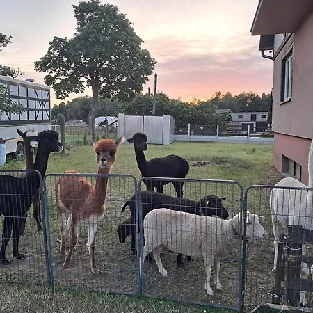 Malary Apartamento Jaroszewy